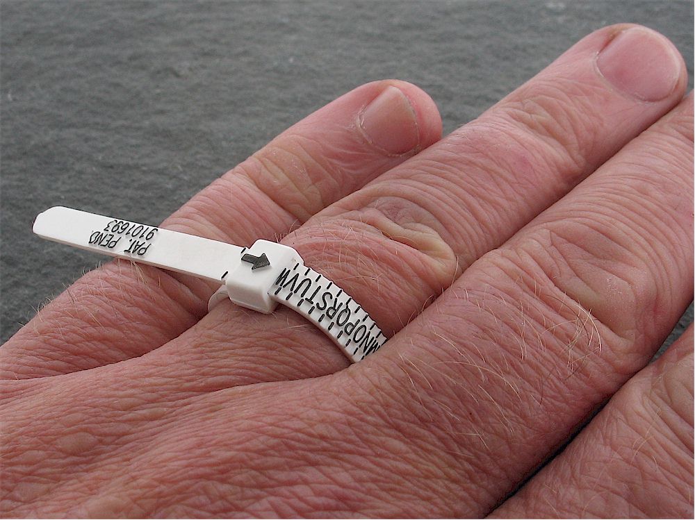 Ring size guage